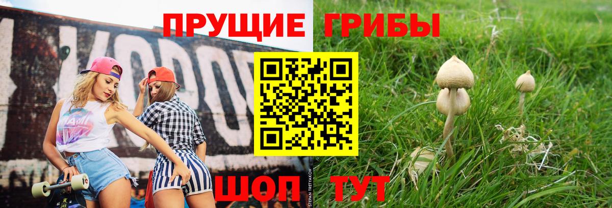 Галлюциногенные грибы Psilocybine cubensis  Вход с VPN  Ирбит  Галлюциногенные грибы MAGIC MUSHROOMS 