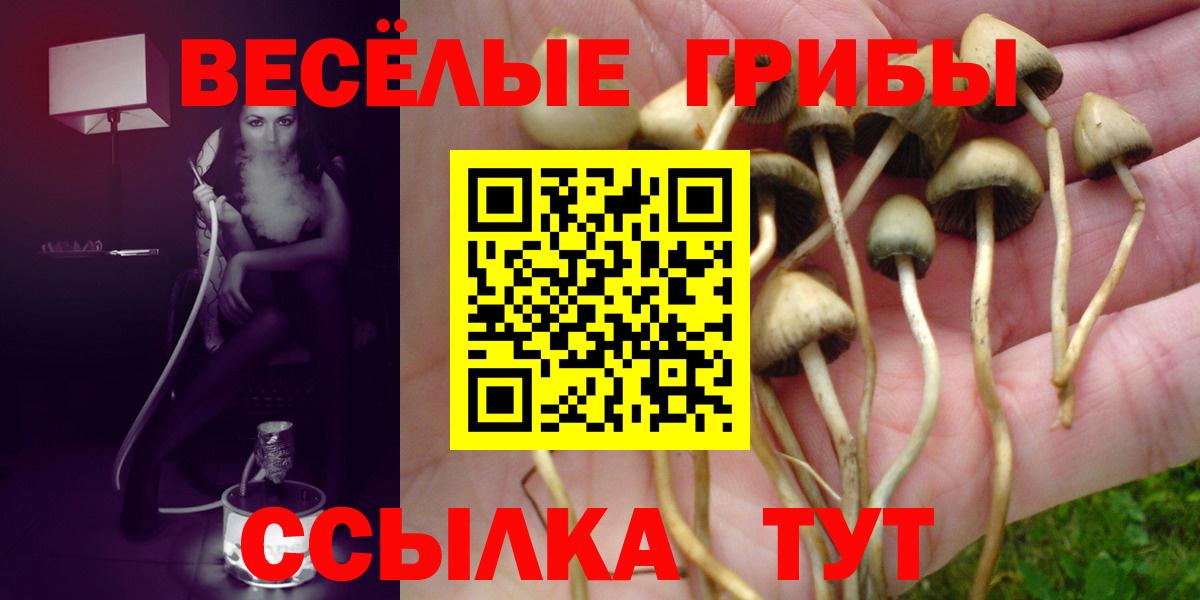 Псилоцибиновые грибы GOLDEN TEACHER Ирбит